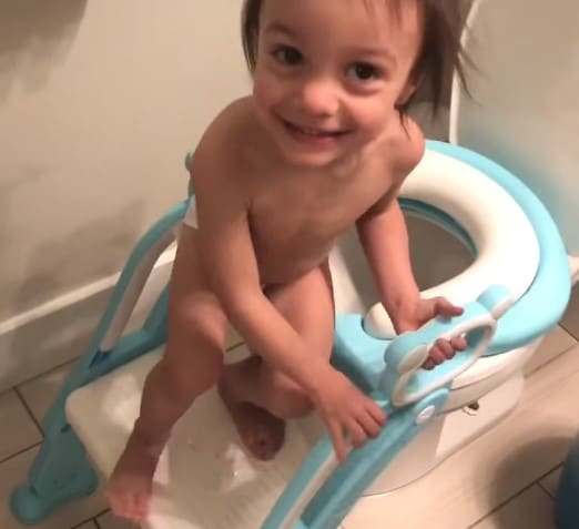 Best potty training seat with ladder