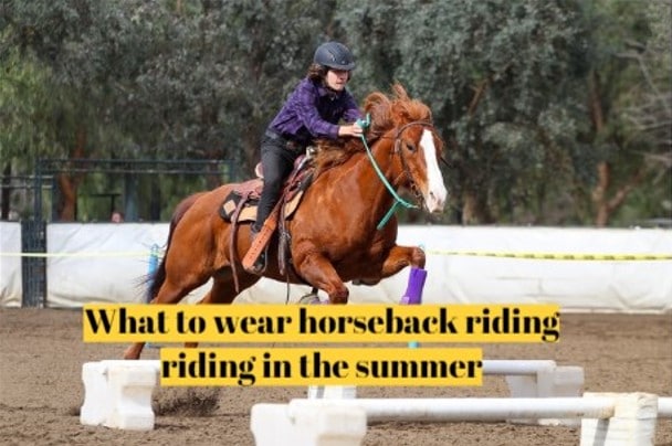 What to wear horseback riding riding in the summer